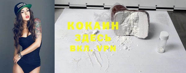 не бодяженный Алексин