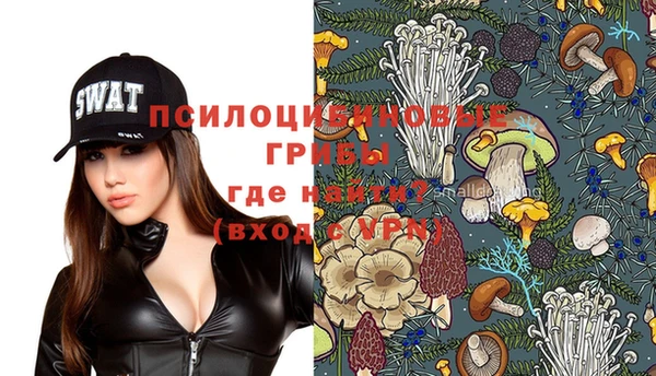 не бодяженный Алексин