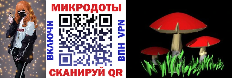 Псилоцибиновые грибы Psilocybine cubensis  Пласт 